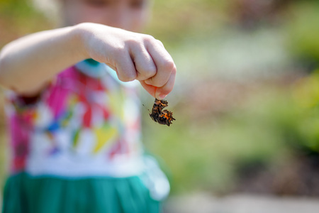 girl holds batterfly in the handの写真素材
