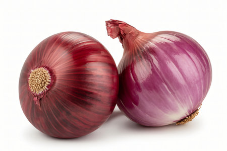 Two red onions are displayed against a white background one showing its root end and the other its stem end ready for use in cooking.の写真素材