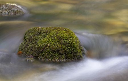Moss-covered rocks in a streamlet.