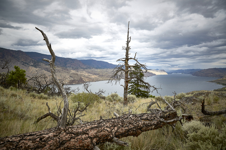 scenery panorama beautiful cloudy sky water lake treeの写真素材
