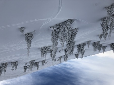 winter forest deep snow cold trees white beautifulの写真素材