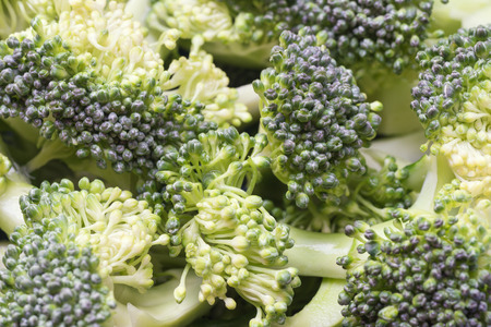 Close up green broccoli sliced.の写真素材