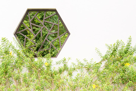 Chinese hexagon style window on the wall at backyard gardening, copy space.の写真素材