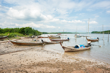 Fishing boats parking at mangrove beachの写真素材