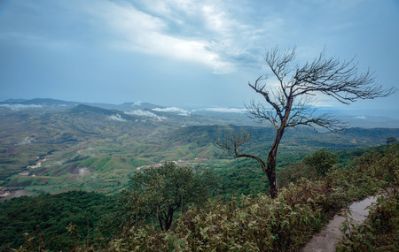 Beautiful landscape in a cloudy day at north of Thailand during trekking trip.の写真素材
