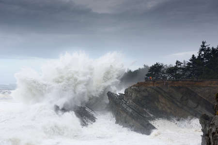 Swells of a Decade Crashing Against the Cliffs of Shore Acres State Park, Coos Bay Oregon