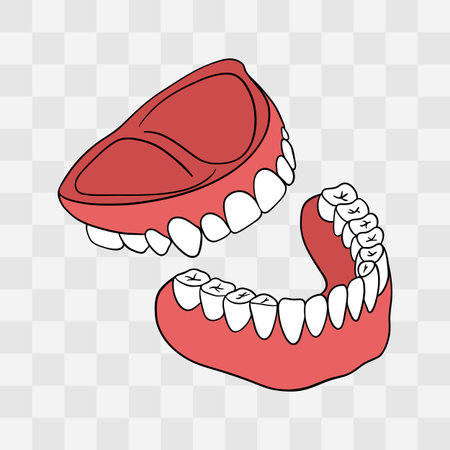 Dental care concept with icon design, vector illustration 10 eps graphic.のイラスト素材