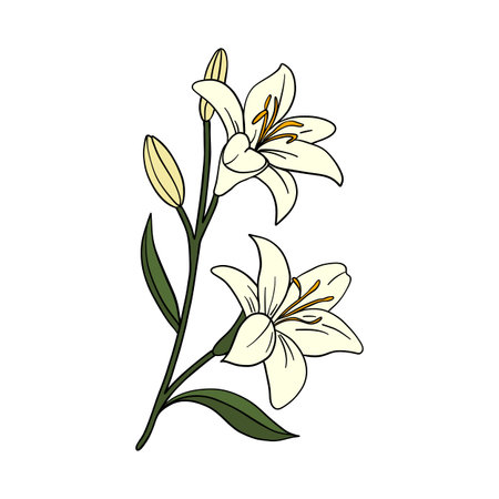 Hand-drawn illustration of a praying man created in a soft and expressive artistic style. Emotional and spiritual artwork symbolizing faith, devotion, strength, and inner peaceのイラスト素材