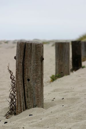 old fence poles down by the beachの写真素材