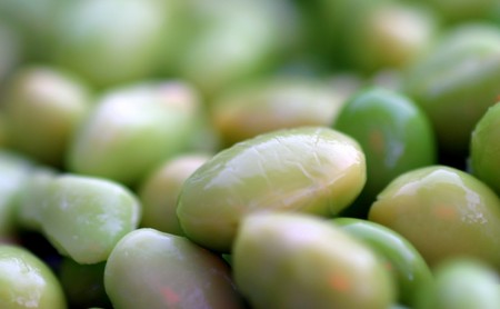 Group of bright green edamame soy beans.の写真素材