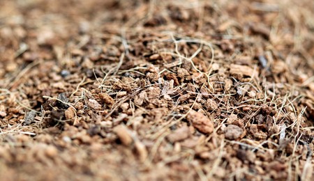 close up of brown mulch good for use as a backgroundの写真素材