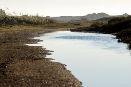 wetland near the Ormond Beach california oxnardの写真素材