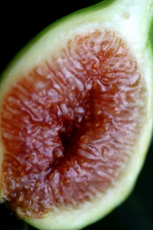 Closeup of the inside of a open cut fig の写真素材