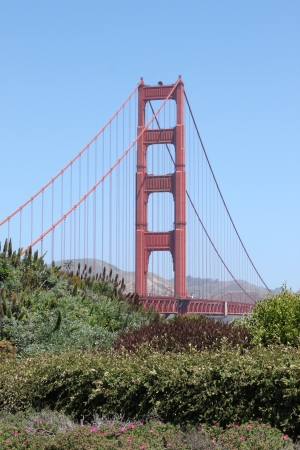 View of the Golden Gate bridge in San Francisco, California の写真素材