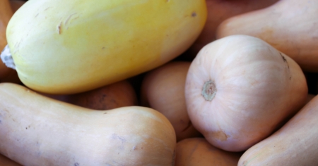Butternut and Spaghetti Squash at a farmers market.
