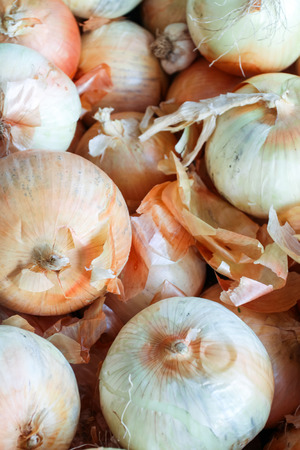 Presentation of onions at a farmers market.の写真素材
