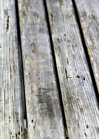Texture of old wood with many termites holes.の写真素材