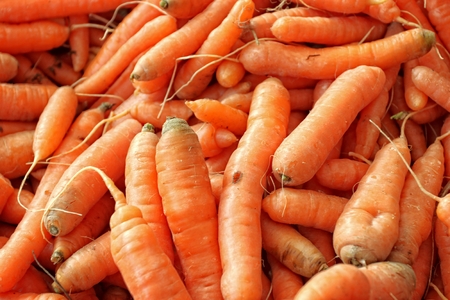 Many orange carrots displayed at a farmers market.の写真素材