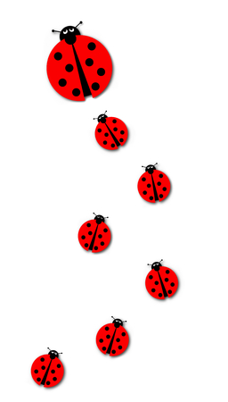 Background image with many different sized ladybugs on white background.の写真素材