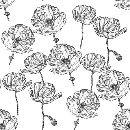 Seamless monochrome floral pattern with poppy flowers on white background . Vector illustration. Typography design elements for prints, cards, posters, products packaging, branding.のイラスト素材
