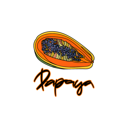Papaya vector illustration on transparent background.  Hand drawn lettering - "Papaya".のイラスト素材