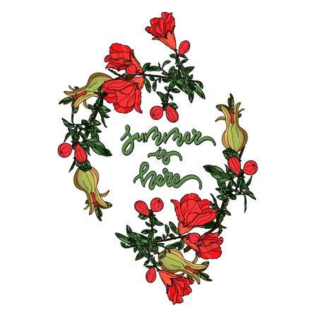 Summer Greeting Card.Summer is here.  Hand Drawn  Pomegranate Fruit, Flowers, Leaves. Vector illustration.のイラスト素材
