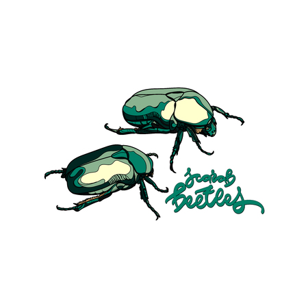 Vector card with scarab beetles and hand drawn inscription on white background.のイラスト素材