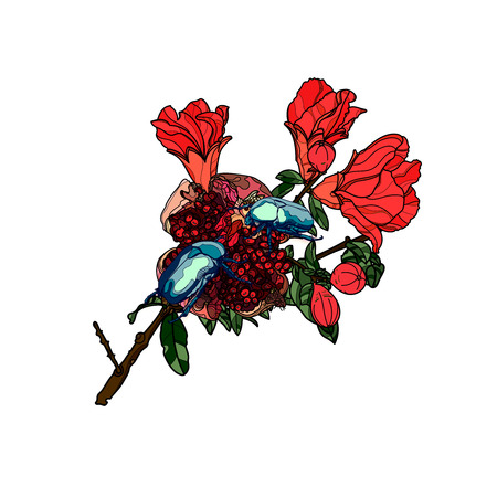 Blue scarab beetles on pomegranate branch with flowers and fruits. Vector illustration.のイラスト素材