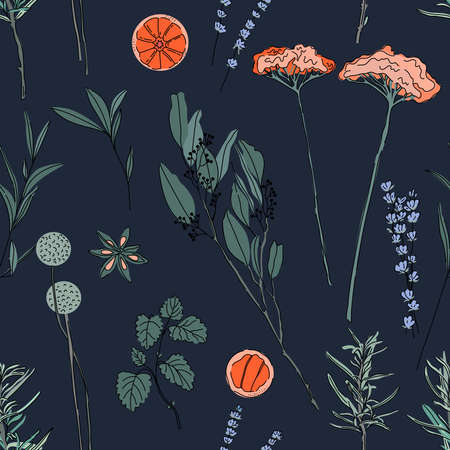 Herbs hand drawn background. Seamless pattern with drumstick flower, rosemary and lavander, orange,...