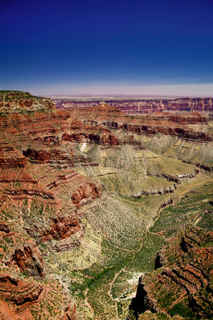 North Rim, Grand Canyon National Park, Arizonaの写真素材