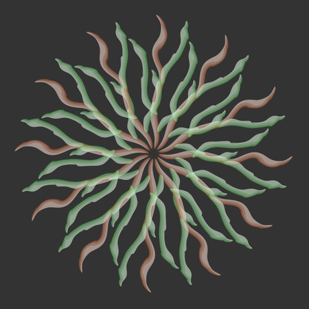 mandala circular pattern. vector illustration.のイラスト素材