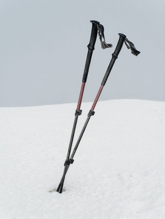 Nordic walking poles in the snow. Winter hiking concept.の写真素材
