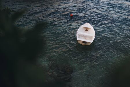 A boat from above with branches on one side