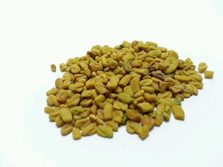 halba or fenugreek seed isolated on white backgroundの素材