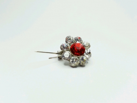 red gem surrounded by diamond broochの素材