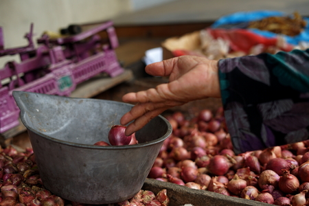 Bunches of Red Onions in vegetable marketの写真素材