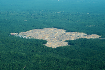 Aerial View Oil palm plantation in Aceh Indonesiaの写真素材