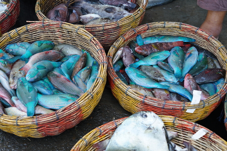Fresh parrot fish in a wicker basket for sale at seafood market