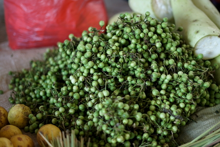 Organic Fresh Turky berry for sale at Traditional Marketの写真素材
