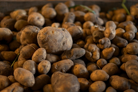 Piles of Potatoes for sale at traditional marketの写真素材