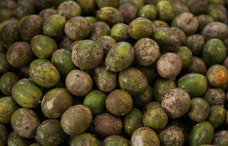 Tropical fruit Kedondong or Ambarella or Spondias dulcis at vegetable marketの写真素材