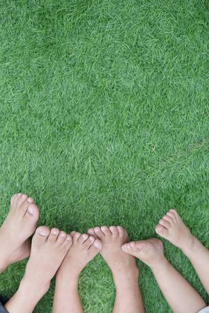 Legs and feet Child's on grassの写真素材
