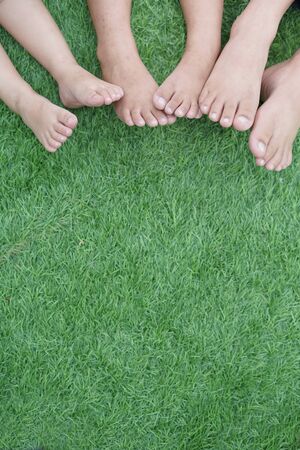 Legs and feet Child's on grassの写真素材