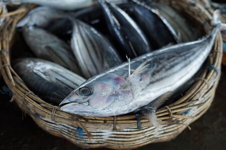 Closeup of pile Tuna fish at fishing harbour in Indonesiaの写真素材