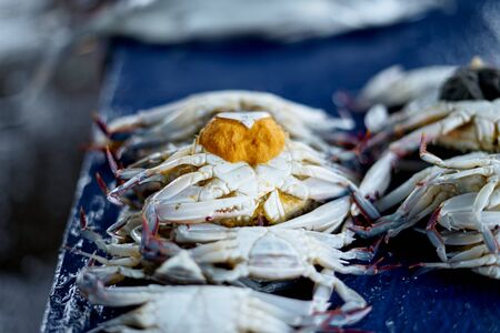 Freshly blue swimming crabs for sale at traditional fish market