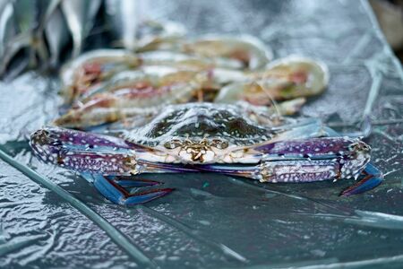fresh blue swimming crabs and shrimp for sale at fish marketの写真素材