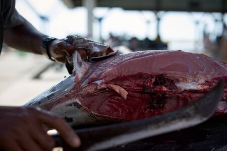 Vendor Skinning fresh raw Tuna fish at seafood marketの写真素材