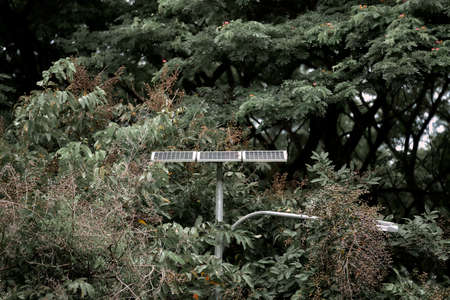 Solar panels against big tree in rural field tropical rainforestの写真素材