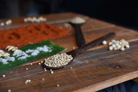 Various spice on wooden spoons with herbsの写真素材