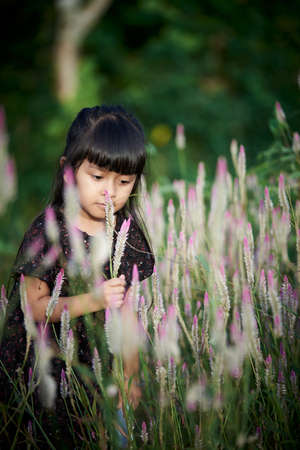 little asian girl playing with wild flowers at public gardenの写真素材